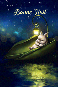 gif animé bonne nuit lapin lanterne